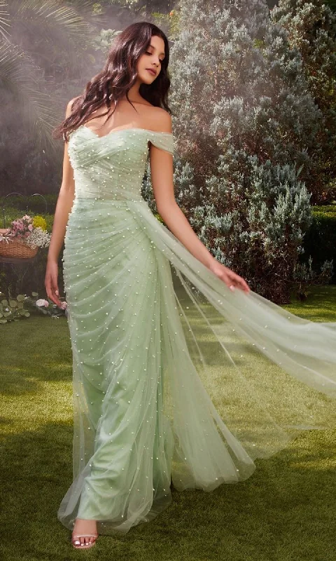 Long Formal Dress A1219 by Andrea & Leo